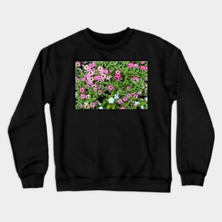 A Bee & Pink Flowers Crewneck Sweatshirt